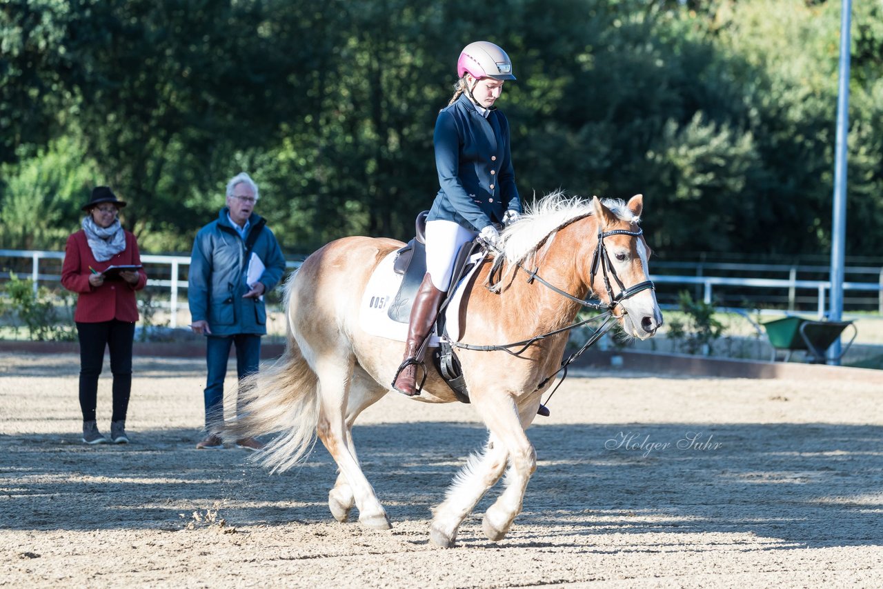 Bild 48 - Pony Akademie Turnier